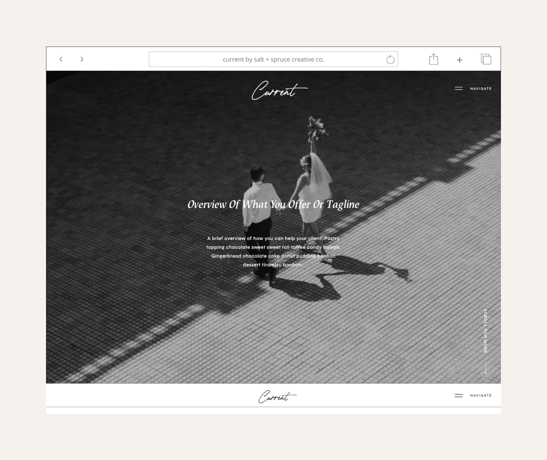 Current Showit Template by Salt + Spruce Creative